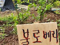 일주일 간 찾은 ..