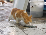 오늘