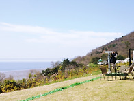 석모도 나들이