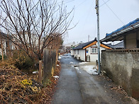 ▶ 사농동 인형극장사거리..