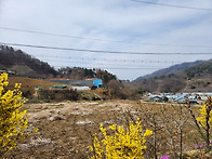 ▶ 동산면 원창리 폴리텍대..