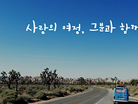 사랑 안의 성장, 에니어그..