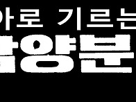 남양유업 남양분유(1977..
