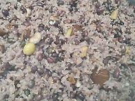 오늘은 정월대보름..