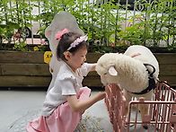 펫체험-면양 솜이🐑