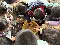 보리심기 활동&#127793..