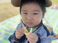 💚 연꽃테마파..