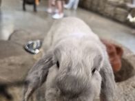 가은이의 여름방학!!