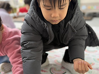 쏙!쏙! 보리를 심어요 &..