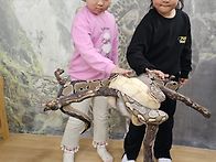 펫체험-공비단뱀&#128013;