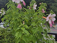 20260719 송종관미술관