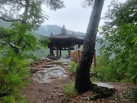 단비를 맞으며 보..