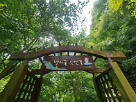 지리산 뱀사골 신..