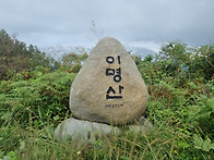 이명산 코스모스 ..