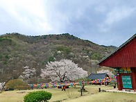 제 162차 광주하나산악회 ..
