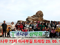 소나무 73차 이사부길 트..