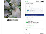 카스님-톡 쏘는 ..