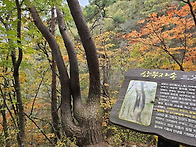 필산악회와 함께한 청량산..