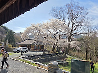 성주산(聖住山) 간것이 아..