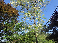 축령산 산행