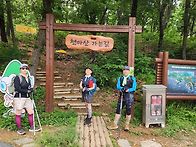 5월17일(토) 반종주(오드..