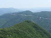 07월05일 경북 울진군 백..