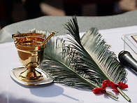 주님 수난 성지 주일 [2..