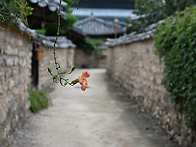 연
