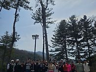 양지파인 2026년 3월 23..