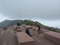 오서산 벙개