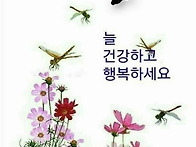 수요일 출석