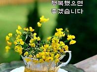 일요일 출석