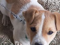 팔공이가 많이 컸어요.