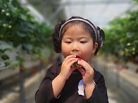 우리 엄마 김밥 먹어보세요