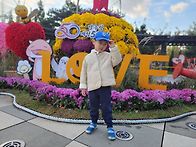 다정히 친구들과 손잡고 ..