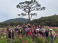 가을소풍