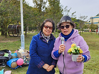 가을소풍