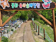 봉화유아숲체험원 대청소