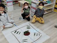 성심유치원찾아가는 숲교실