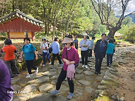 휴일 단풍놀이 온 사람들