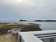 코스모스길 백사장..
