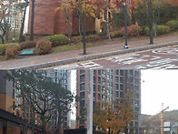 [테라코타판넬건축설계]볼..