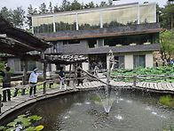 지리산. 백운계곡. 트레킹