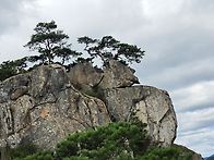 경상북도 문경시 '조령산'..