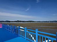 나주 박물관(핑크뮬리)~함평 돌머리 트레킹