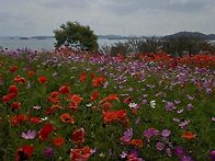 신안 12사도길 트레킹