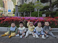 2026년 4월 5주..