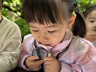 2025년 5월 1주..