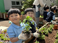 학교정원수업(2)&#127793;