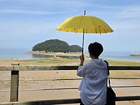 천리포수목원~2